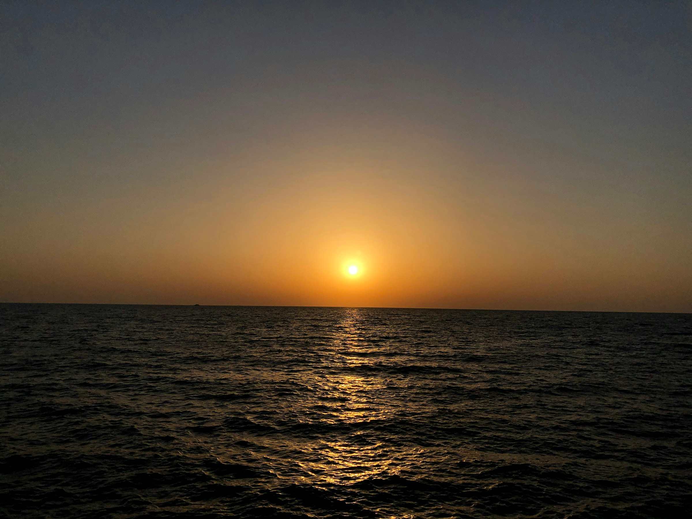 红海海岸